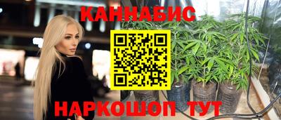 сатива Бердск