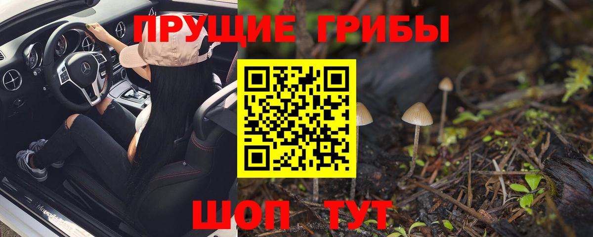 Галлюциногенные грибы GOLDEN TEACHER Богородск
