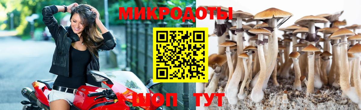 Галлюциногенные грибы Magic Shrooms  Вход с VPN  Богородск  Псилоцибиновые грибы Cubensis 